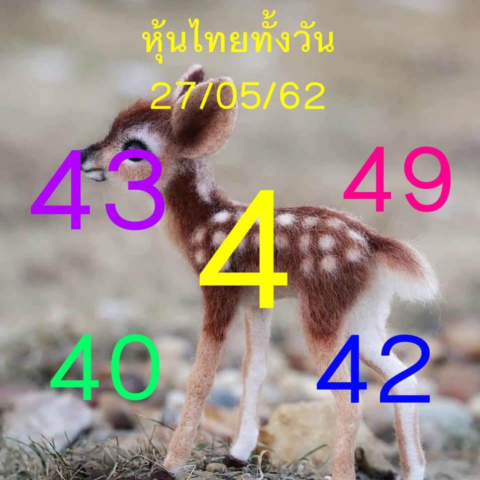 หวยหุ้นวันนี้ 27/5/62 ชุดที่ 14