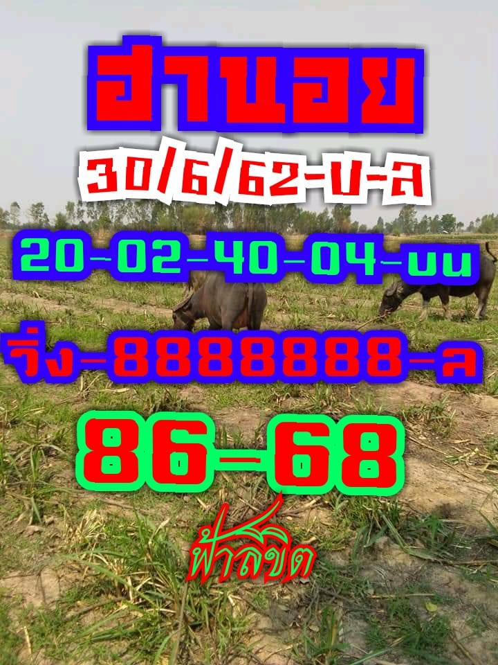 หวยฮานอยวันนี้ 30/5/62 ชุดที่ 11