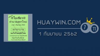 หวยใบเขียว 1/9/62