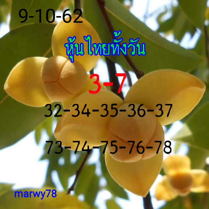 หวยหุ้นวันนี้ 9/10/62 ชุดที่ 8