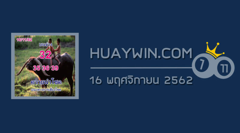 หวยควายนำโชค 16/11/62