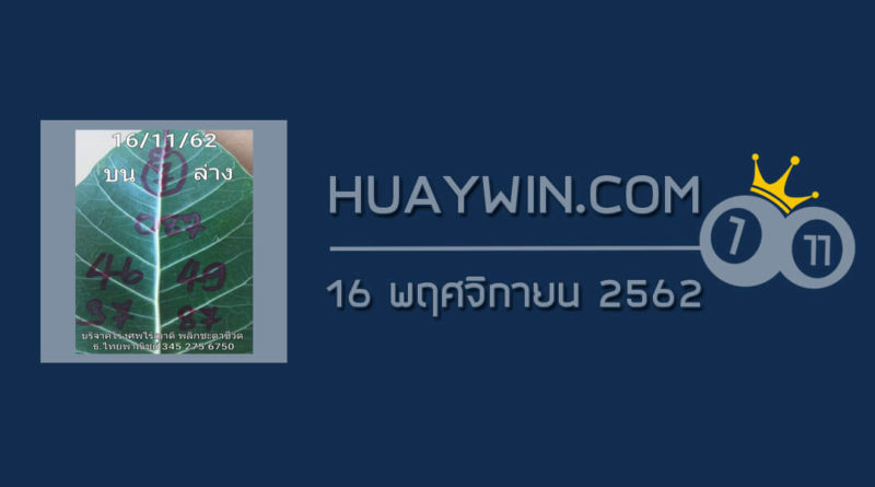 หวยใบโพธิ์ 16/11/62