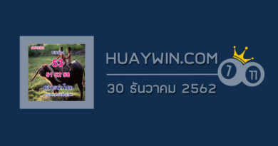 หวยควายนำโชค 30/12/62