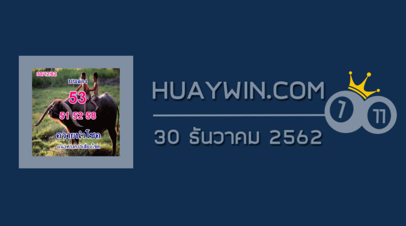 หวยควายนำโชค 30/12/62