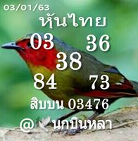 หวยหุ้นวันนี้ 3/1/63 ชุดที่ 3