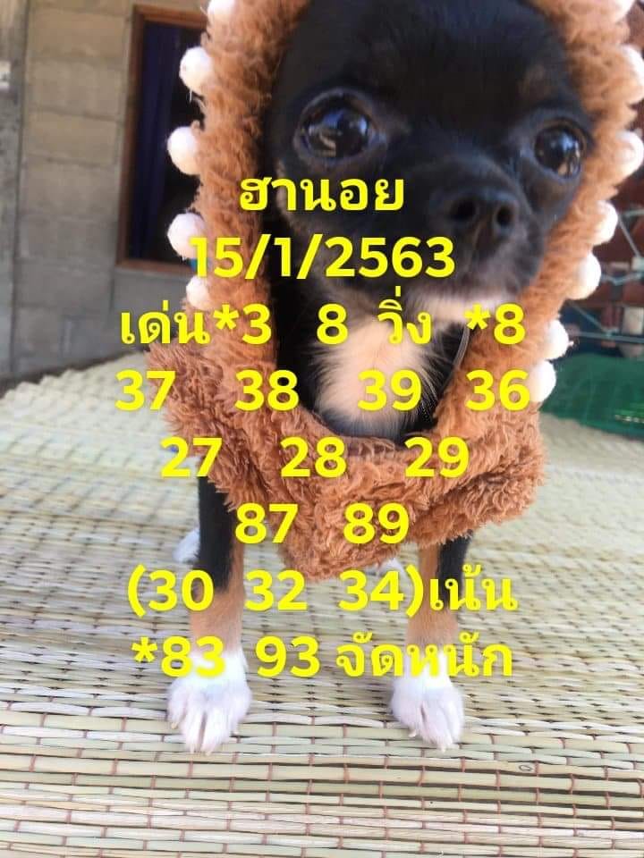 แนวทางหวยฮานอย 15/1/63 