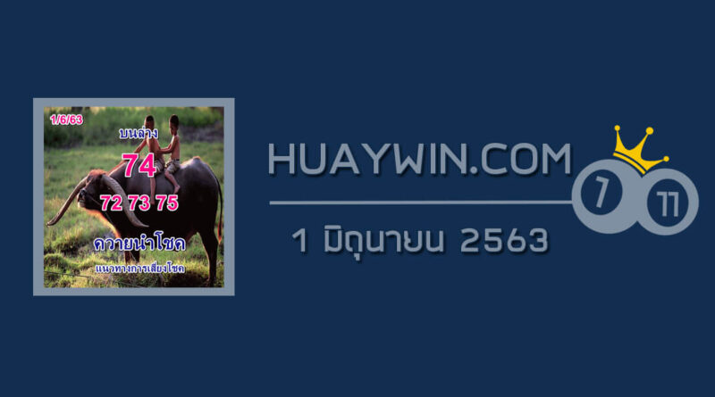 หวยควายนำโชค 1/6/63