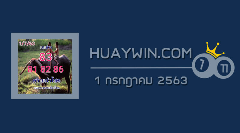 หวยควายนำโชค 1/7/63