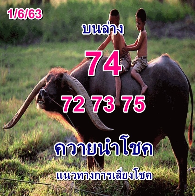 หวยควายนำโชค 1/6/63