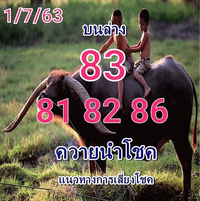 หวยควายนำโชค 1/7/63