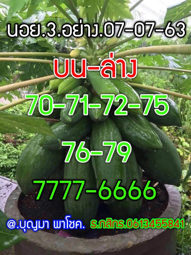 แนวทางหวยฮาน ชุดที่ 2