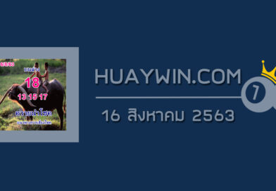 หวยควายนำโชค 16/8/63