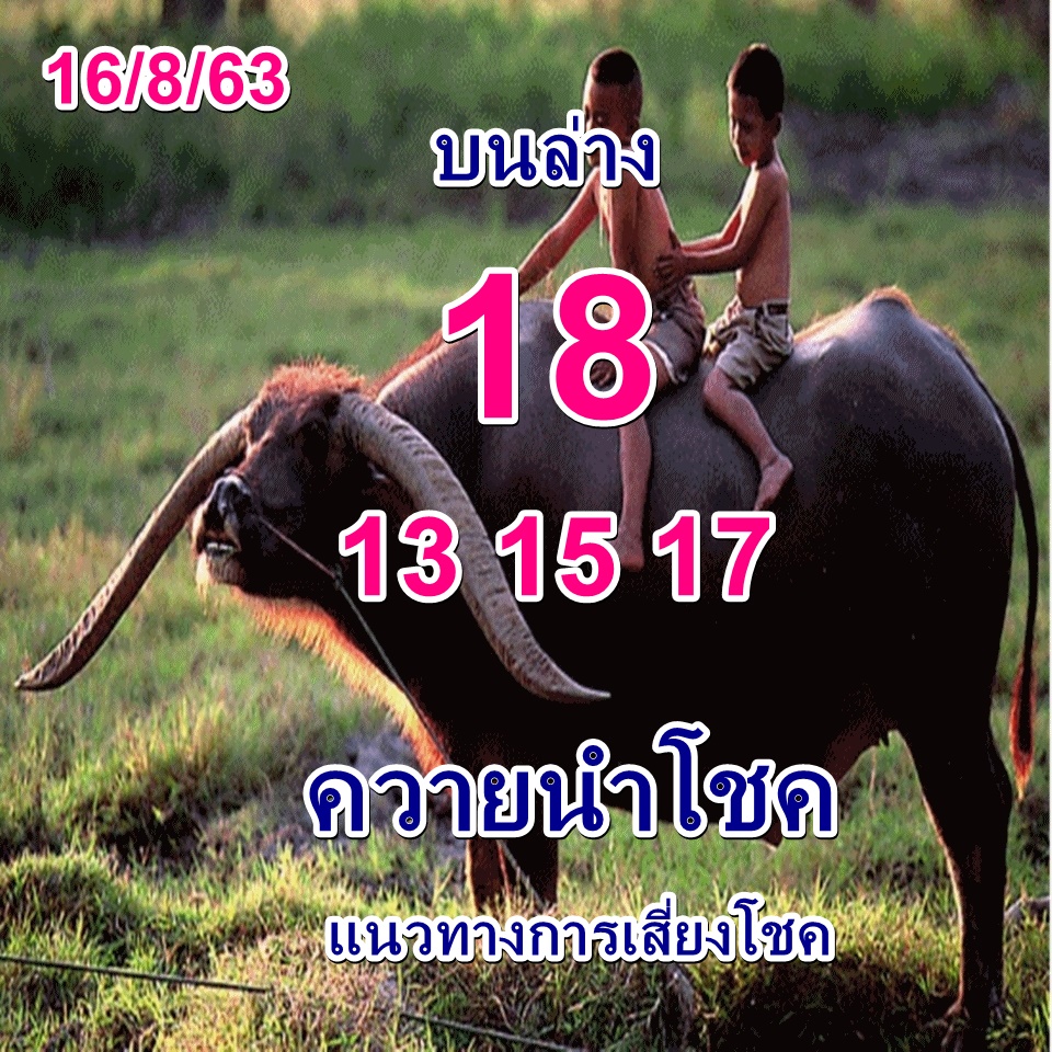 หวยควายนำโชค 16/8/63