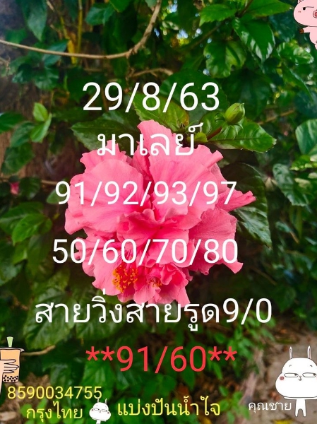 หวยมาเลย์วันนี้ 29/8/63 ชุดที่ 9