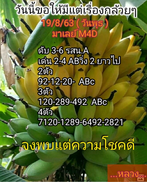 หวยมาเลย์วันนี้ 19/8/63 ชุดที่ 10