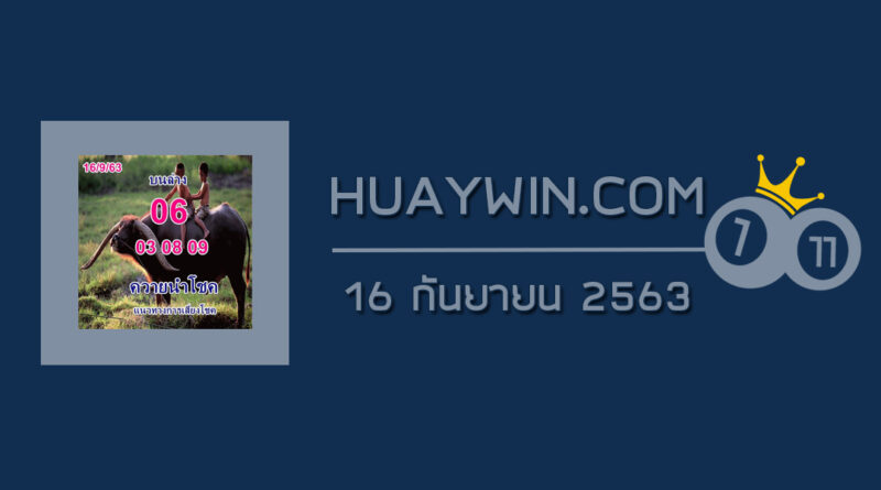 หวยควายนำโชค 16/9/63