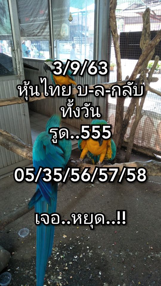 หวยหุ้นวันนี้ ชุดที่ 10