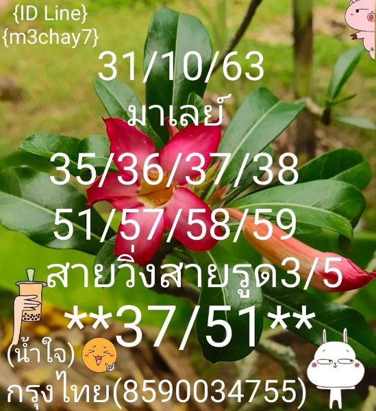 หวยมาเลย์วันนี้ 31/10/63 ชุดที่ 7