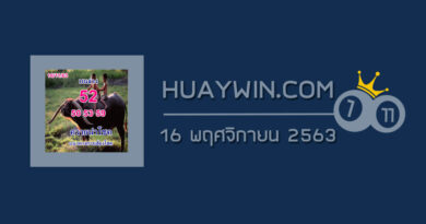 หวยควายนำโชค 16/11/63