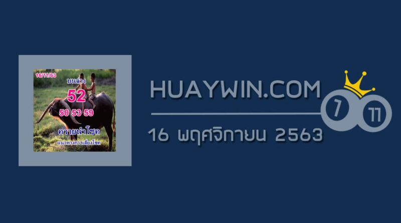 หวยควายนำโชค 16/11/63