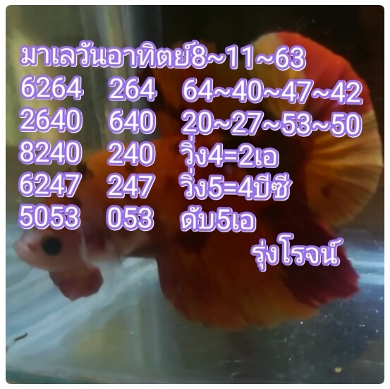 หวยมาเลย์วันนี้ 8/11/63 ชุดที่ 4