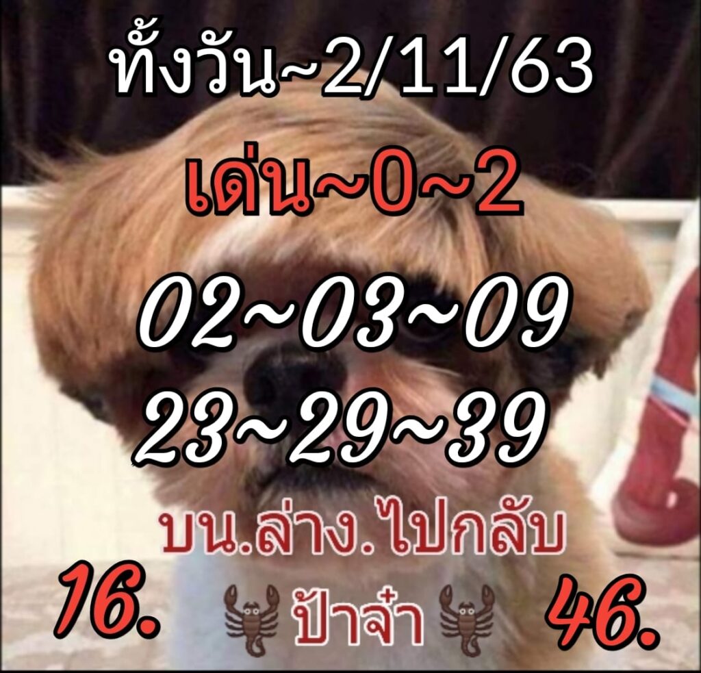 หวยหุ้นวันนี้ ชุด 11