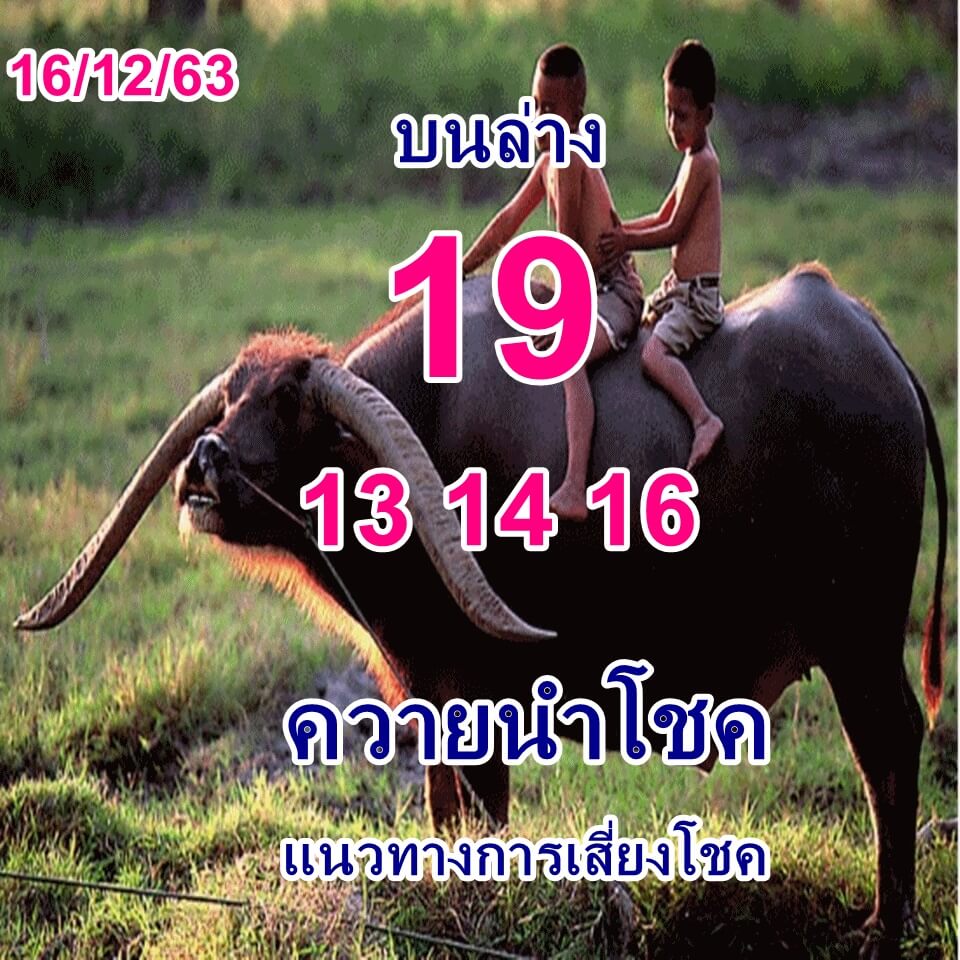 หวยควายนำโชค 16/12/63