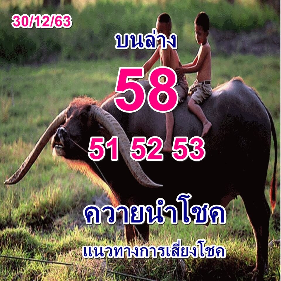 หวยควายนำโชค 30/12/63