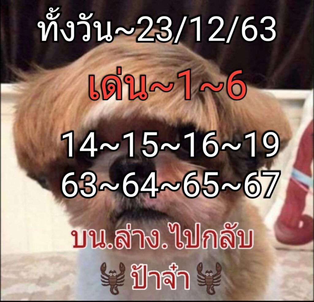 หวยหุ้นวันนี้ ชุดที่ 1