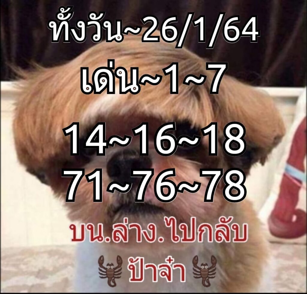 หวยหุ้นวันนี้ 26/1/64 