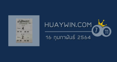 หวยม้าสีหมอก 16/2/64