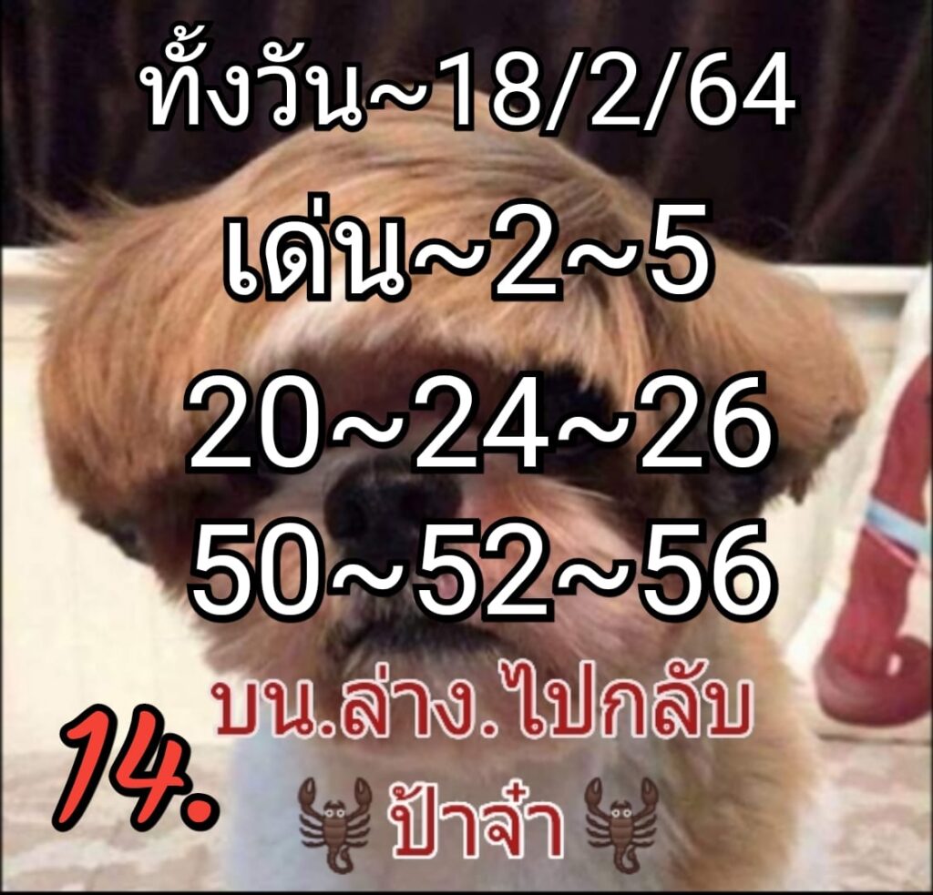 หวยหุ้นวันนี้ ชุดที่ 2