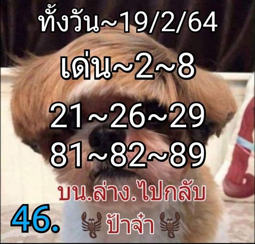 หวยหุ้นวันนี้ ชุดที่ 1