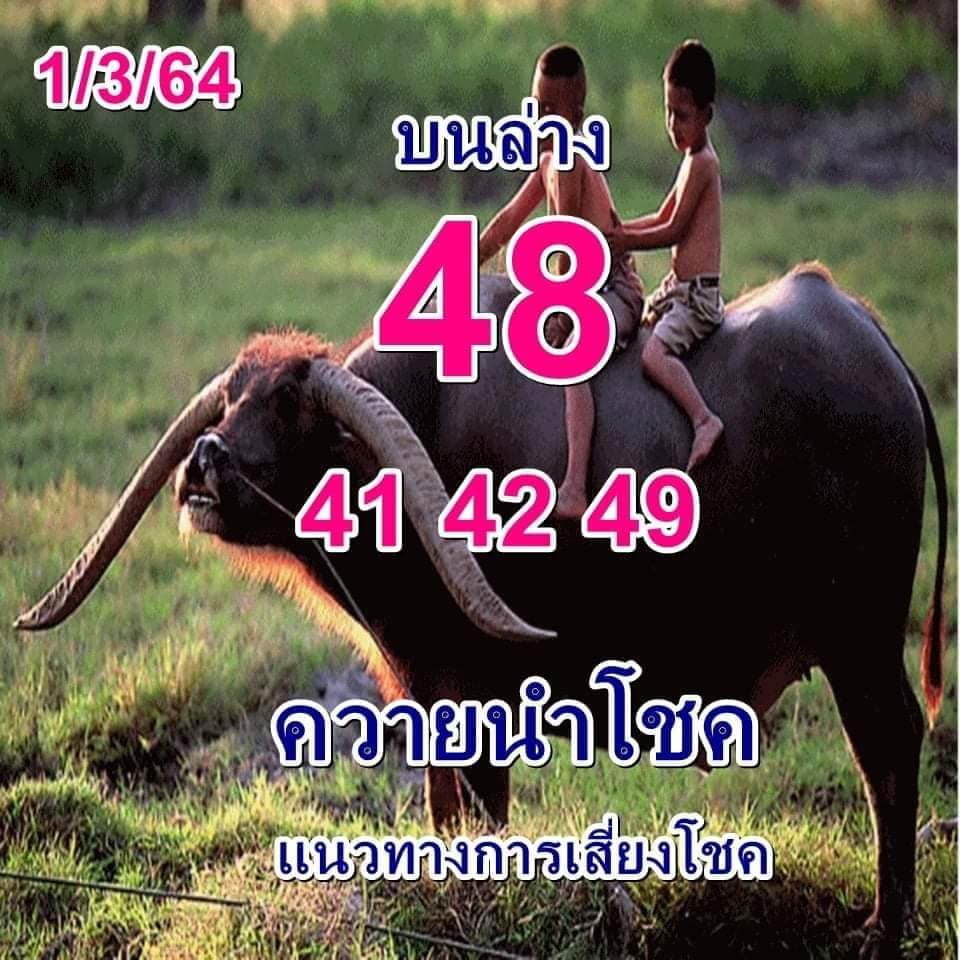 แนวทางหวยฮานอย ชุดที่ 1