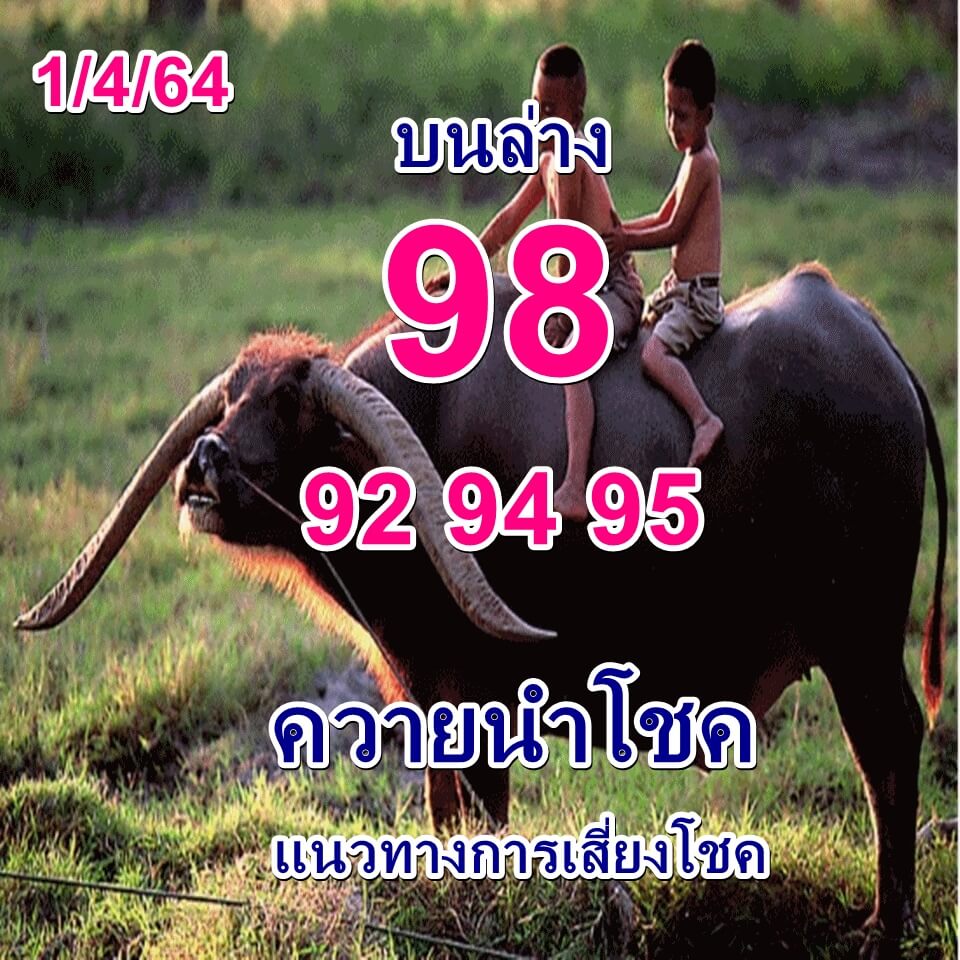 หวยควายนำโชค 1/4/64