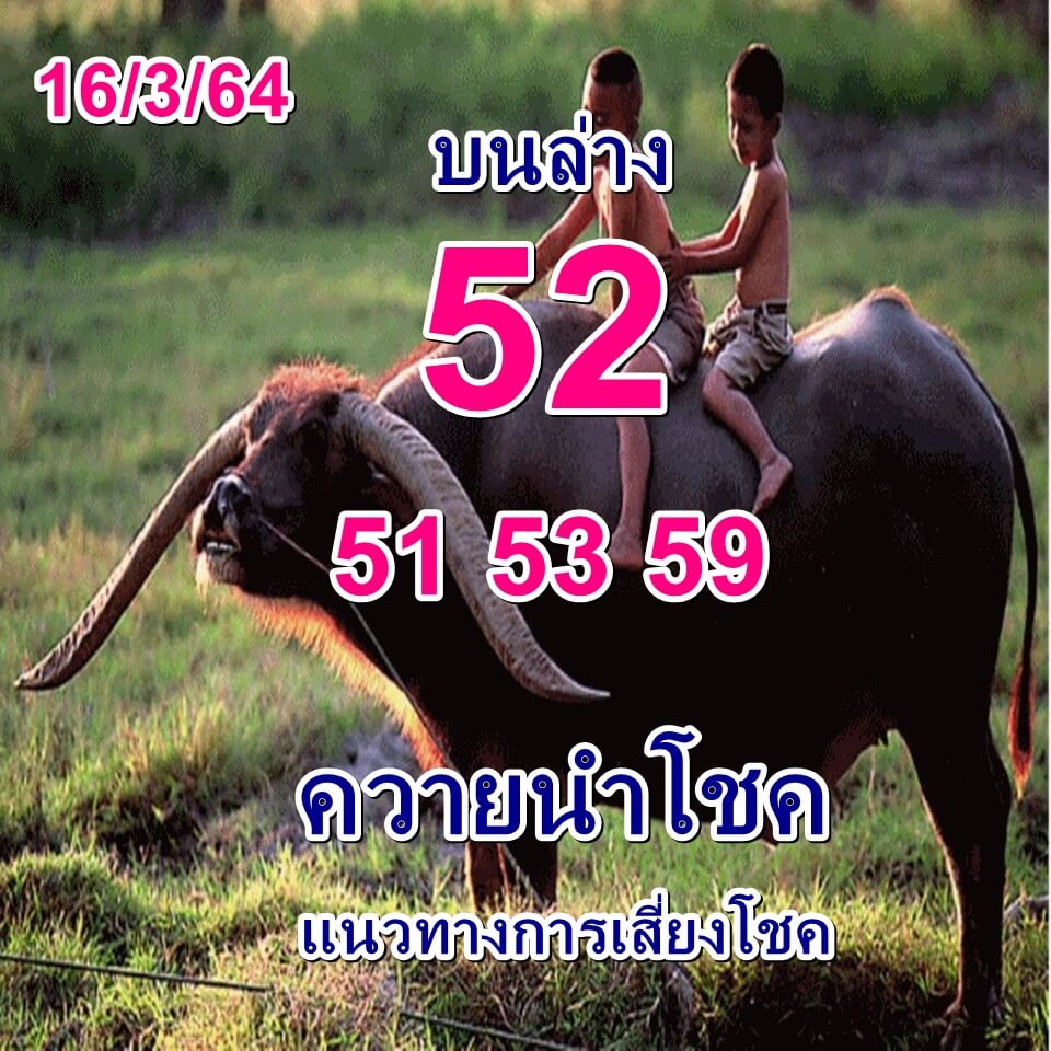 หวยควายนำโชค 16/3/64