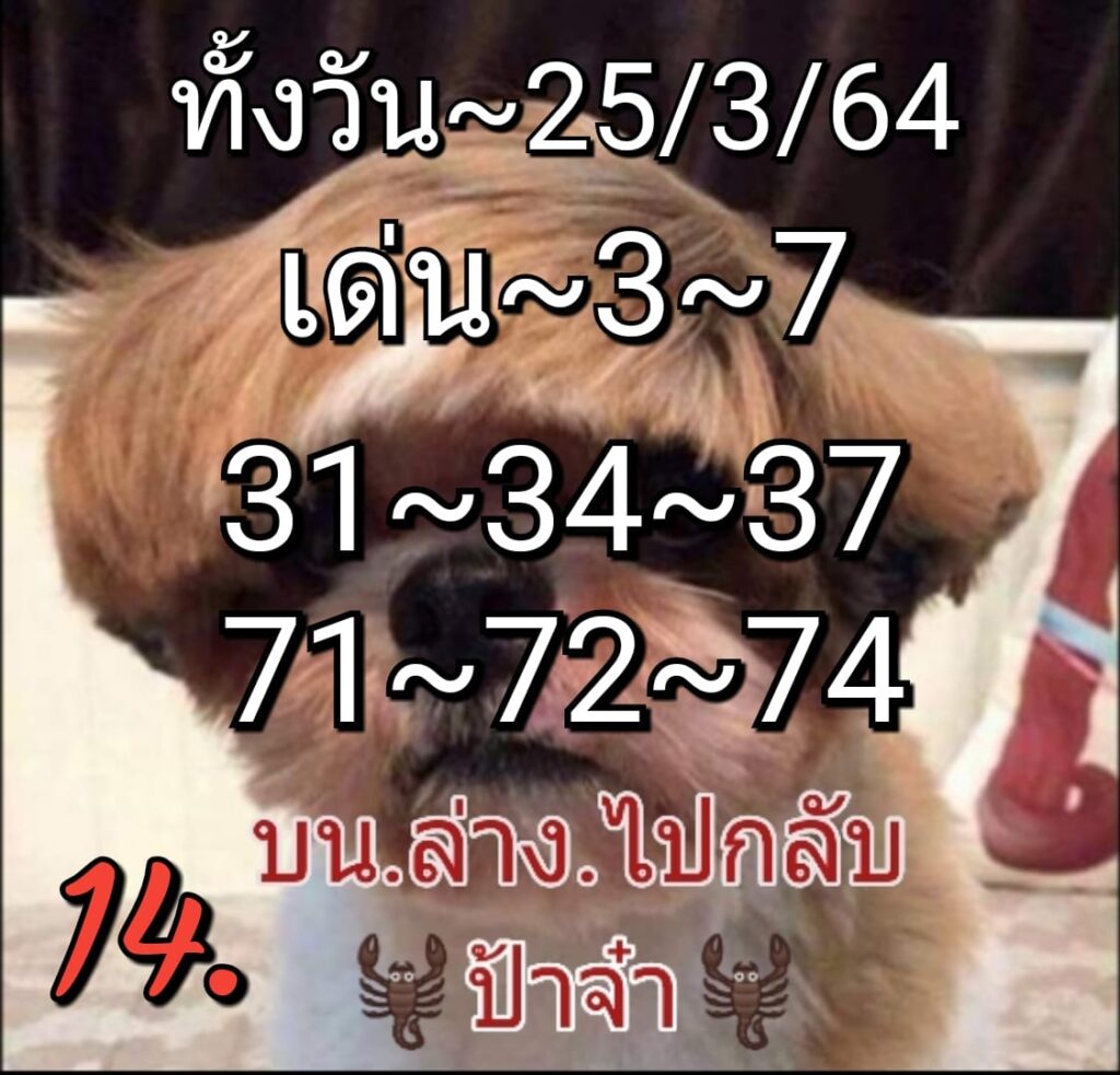 หวยหุ้นวันนี้ ชุดที่ 3