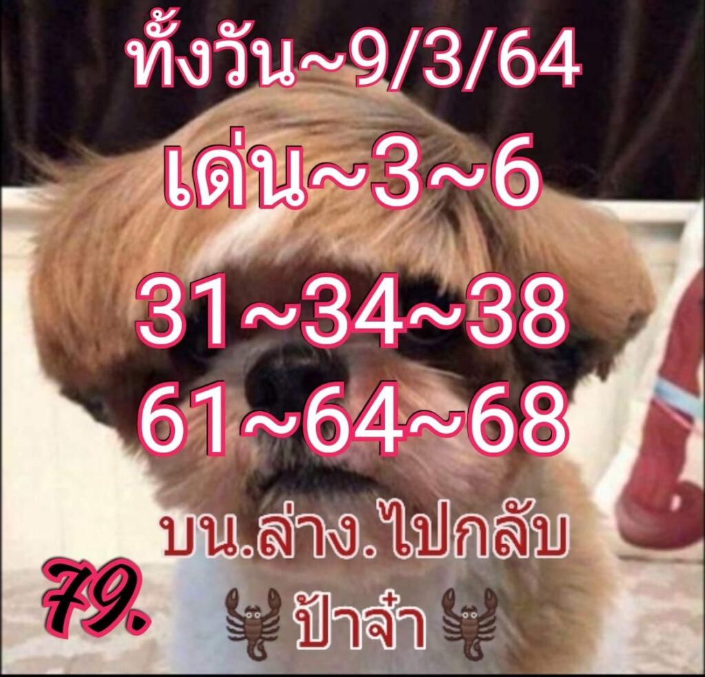 หวยหุ้นวันนี้ ชุดที่ 4