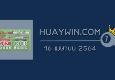 หวยมังกรเมรัย 16/4/64