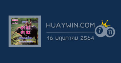 หวยควายนำโชค 16/5/64