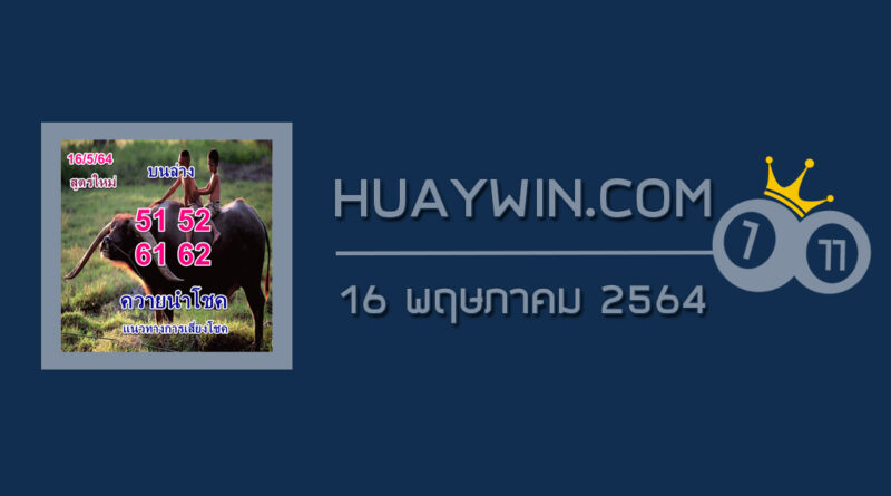 หวยควายนำโชค 16/5/64