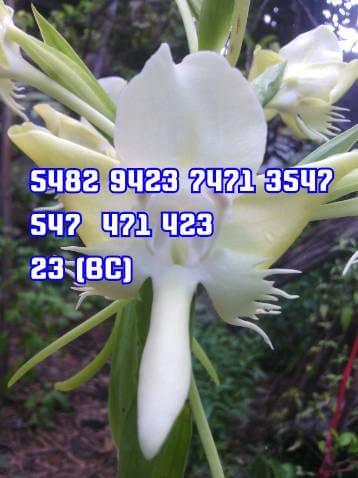 หวยมาเลย์วันนี้ 15/5/64 ชุดที่ 6