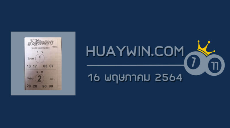 หวยม้าสีหมอก 16/5/64