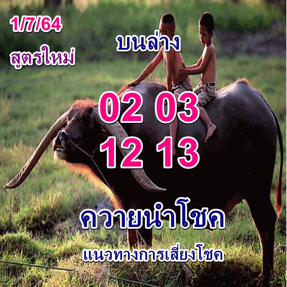 หวยควายนำโชค 1/7/64