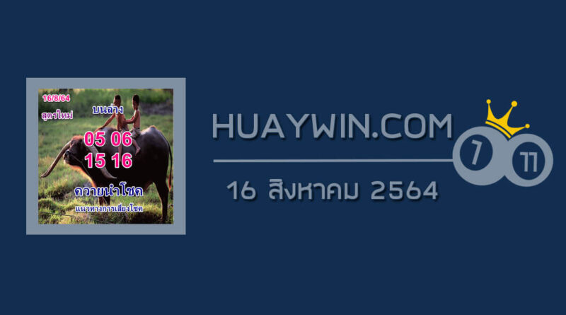 หวยควายนำโชค 16/8/64