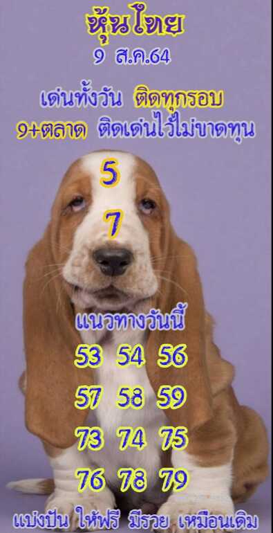 หวยหุ้น 9/8/64 ชุดที่ 7