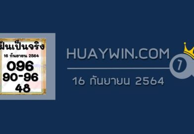 หวยฝันเป็นจริง 16/9/64