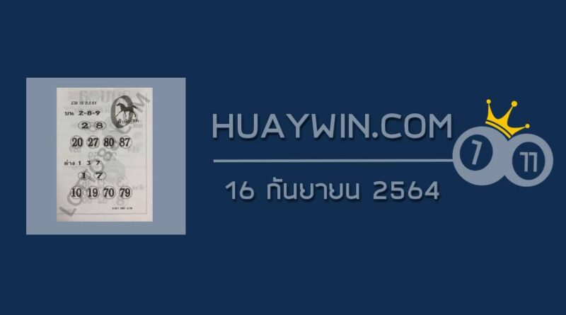 หวยม้านำโชค 16/9/64