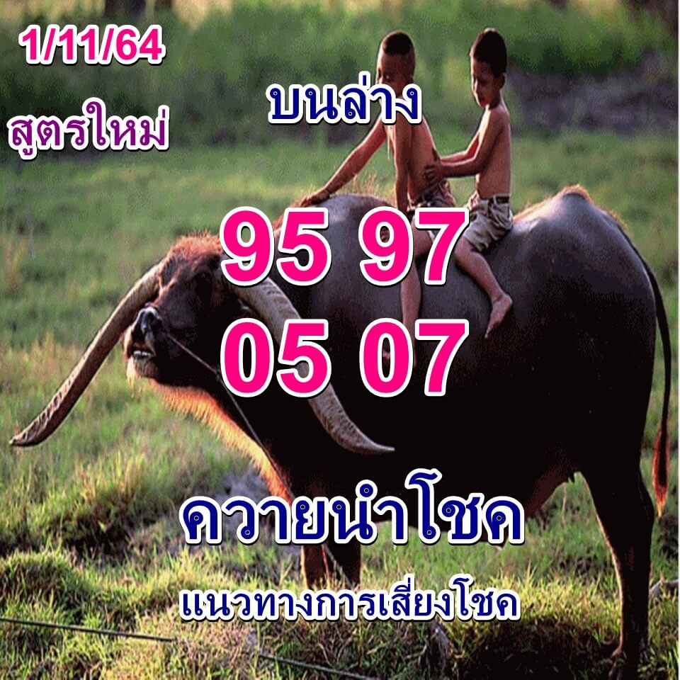 หวยควายนำโชค 1/11/64