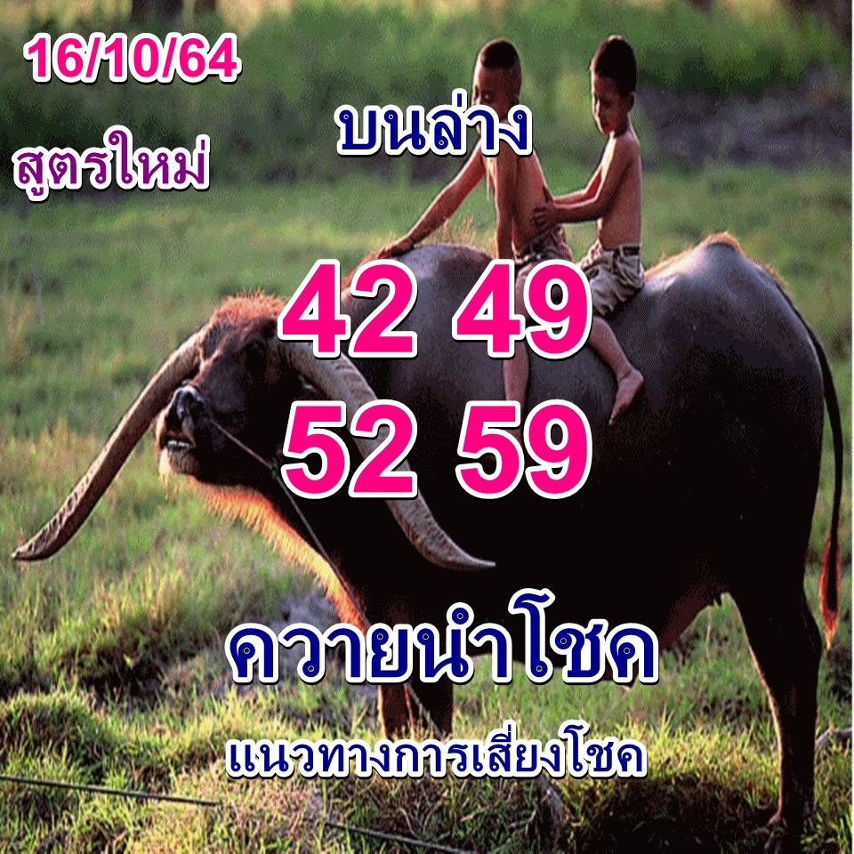 หวยควายนำโชค 16/10/64